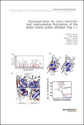 Structural basis for cross-reactivity and conformation fluctuation of the major beech pollen allergen Fag s 1