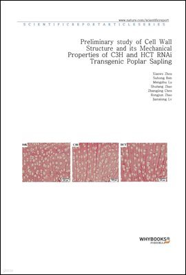 Preliminary study of Cell Wall Structure and its Mechanical Properties of C3H and HCT RNAi Transgenic Poplar Sapling