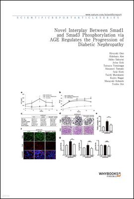 Novel Interplay Between Smad1 and Smad3 Phosphorylation via AGE Regulates the Progression of Diabetic Nephropathy