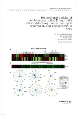 Multipronged activity of combinatorial miR-143 and miR-506 inhibits Lung Cancer cell cycle progression and angiogenesis in vitro