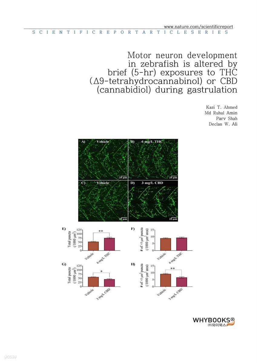 Motor neuron development in zebrafish is altered by brief (5-hr) exposures to THC (?9-tetrahydrocannabinol) or CBD (cannabidiol) during gastrulation