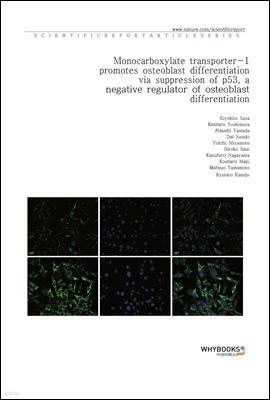 Monocarboxylate transporter-1 promotes osteoblast differentiation via suppression of p53, a negative regulator of osteoblast differentiation