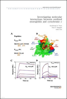 Investigating molecular interactions between oxidized neuroglobin and cytochrome c