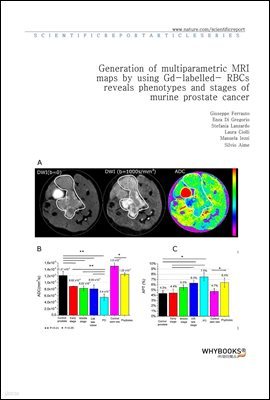 Generation of multiparametric MRI maps by using Gd-labelled- RBCs reveals phenotypes and stages of murine prostate cancer