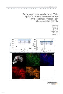 Facile one-step synthesis of TiO2AgSnO2 ternary heterostructures with enhanced visible light photocatalytic activity