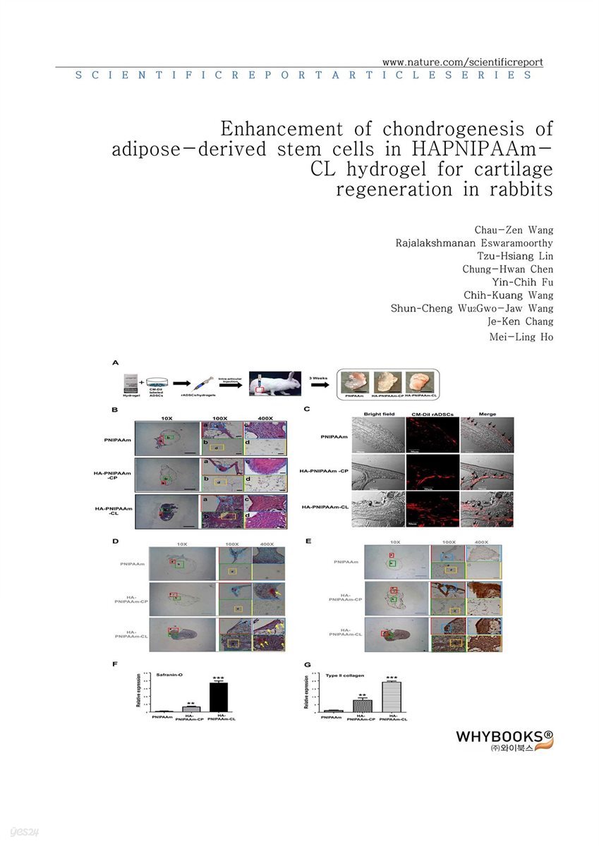 Enhancement of chondrogenesis of adipose-derived stem cells in HA-PNIPAAm-CL hydrogel for cartilage regeneration in rabbits