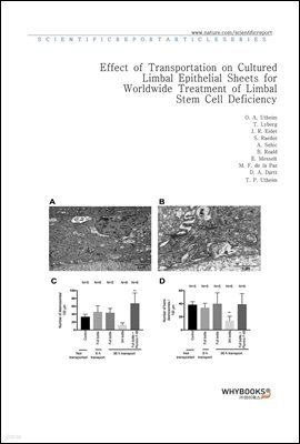 Effect of Transportation on Cultured Limbal Epithelial Sheets for Worldwide Treatment of Limbal Stem Cell Deficiency