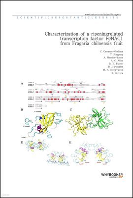 Characterization of a ripening-related transcription factor FcNAC1 from Fragaria chiloensis fruit