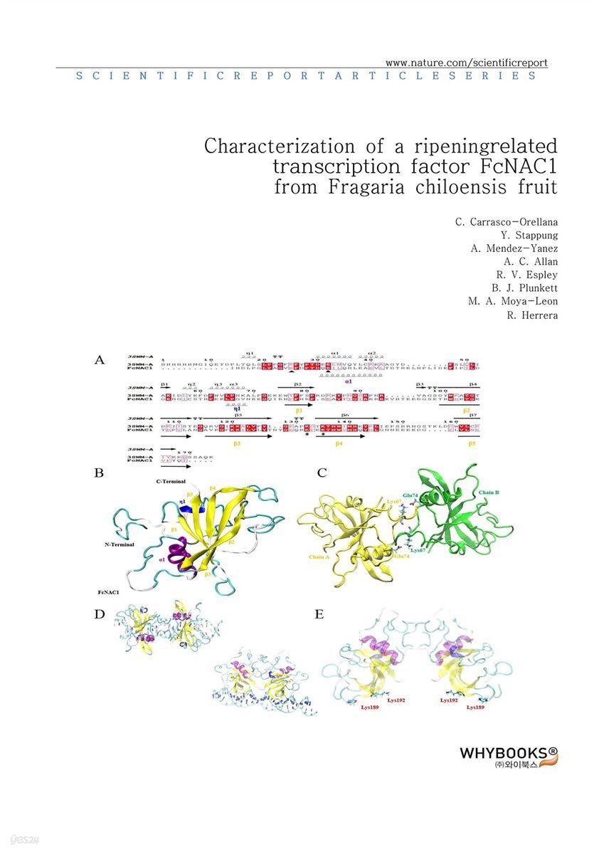 Characterization of a ripening-related transcription factor FcNAC1 from Fragaria chiloensis fruit