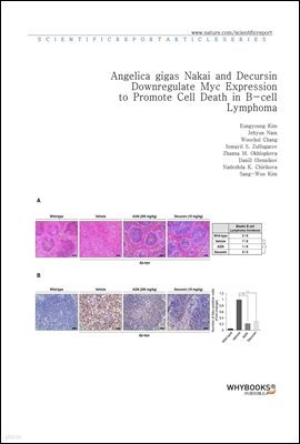 Angelica gigas Nakai and Decursin Downregulate Myc Expression to Promote Cell Death in B-cell Lymphoma