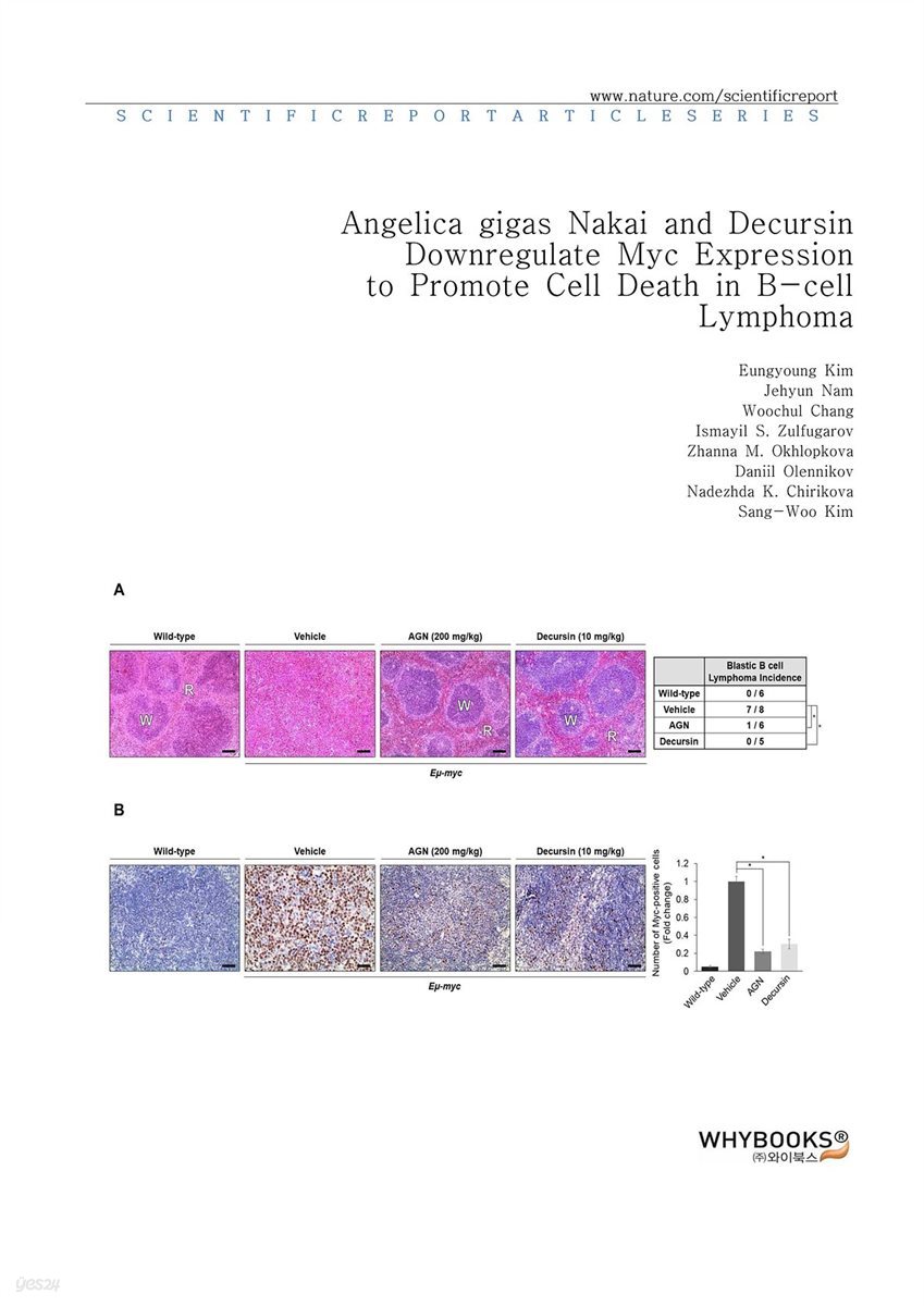 Angelica gigas Nakai and Decursin Downregulate Myc Expression to Promote Cell Death in B-cell Lymphoma