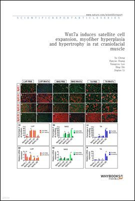 Wnt7a induces satellite cell expansion, myofiber hyperplasia and hypertrophy in rat craniofacial muscle