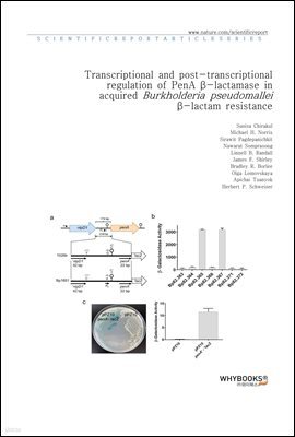 Transcriptional and post-transcriptional regulation of PenA -lactamase in acquired Burkholderia pseudomallei -lactam resistance