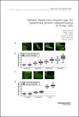Optimal fluorescent protein tags for quantifying protein oligomerization in living cells