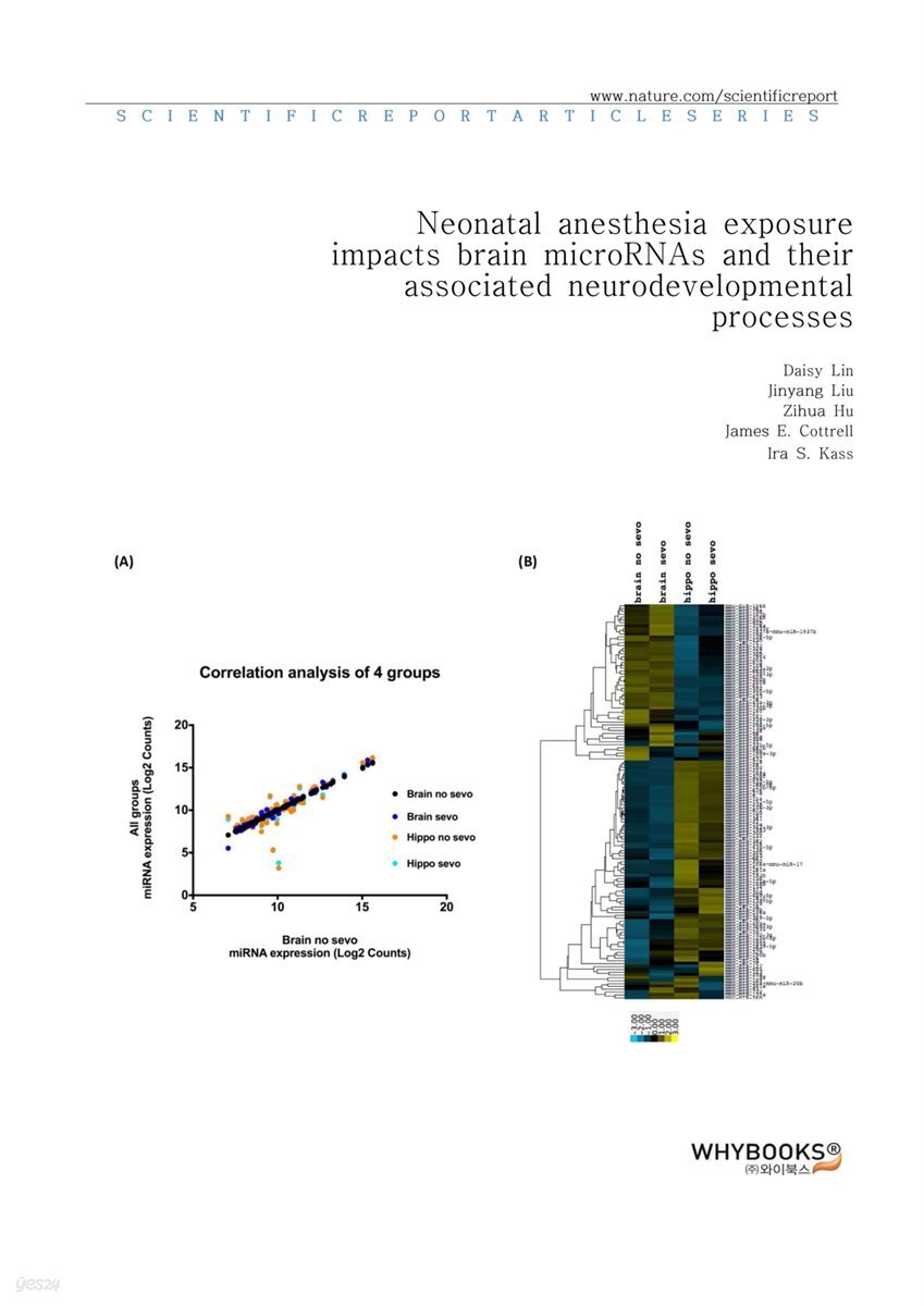 Neonatal anesthesia exposure impacts brain microRNAs and their associated neurodevelopmental processes