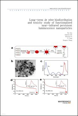 Long-term in vivo biodistribution and toxicity study of functionalized near-infrared persistent luminescence nanoparticles