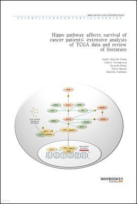 Hippo pathway affects survival of cancer patients extensive analysis of TCGA data and review of literature