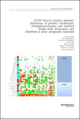 ACGH detects distinct genomic alterations of primary intrahepatic cholangiocarcinomas and matched lymph node metastases and identifies a poor prognosis subclass