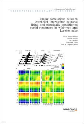 Timing correlations between cerebellar interpositus neuronal firing and classically conditioned eyelid responses in wild-type and Lurcher mice