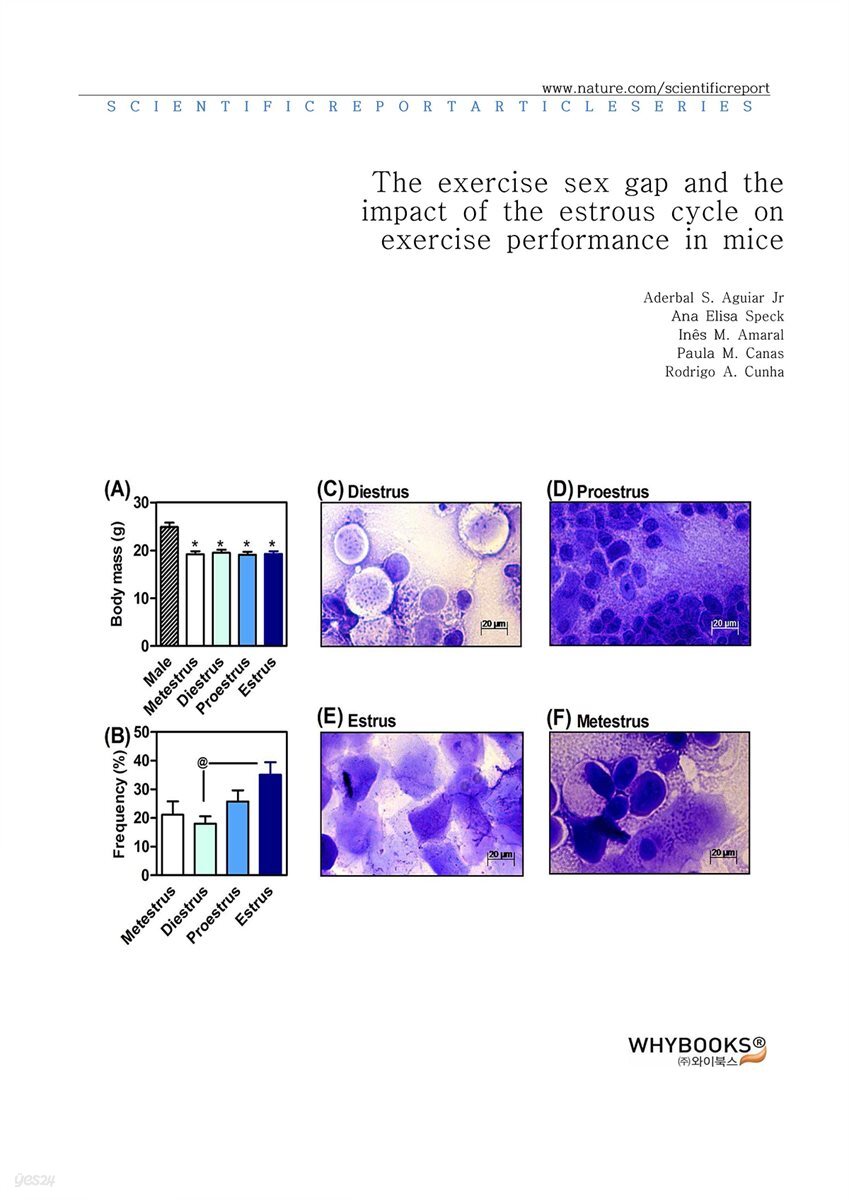 The exercise sex gap and the impact of the estrous cycle on exercise performance in mice