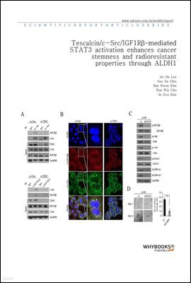 Tescalcinc-SrcIGF1R-mediated STAT3 activation enhances cancer stemness and radioresistant properties through ALDH1