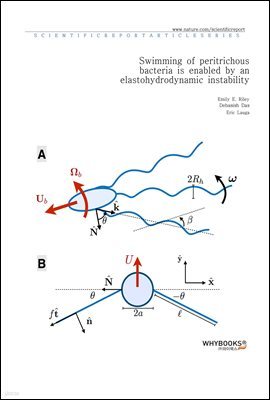 Swimming of peritrichous bacteria is enabled by an elastohydrodynamic instability