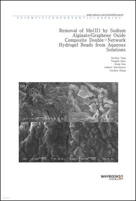 Removal of Mn (II) by Sodium AlginateGraphene Oxide Composite Double-Network Hydrogel Beads from Aqueous Solutions