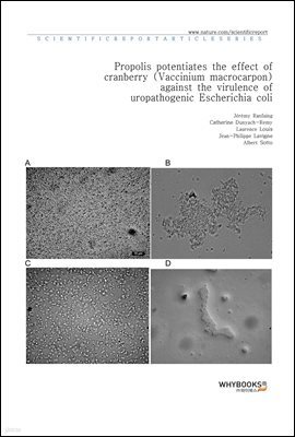 Propolis potentiates the effect of cranberry (Vaccinium macrocarpon) against the virulence of uropathogenic Escherichia coli