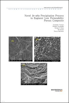 Novel In-situ Precipitation Process to Engineer Low Permeability Porous Composite