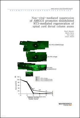 Non-viral-mediated suppression of AMIGO3 promotes disinhibited NT3-mediated regeneration of spinal cord dorsal column axons