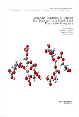 Molecular Dynamics of Lithium Ion Transport in a Model Solid Electrolyte Interphase