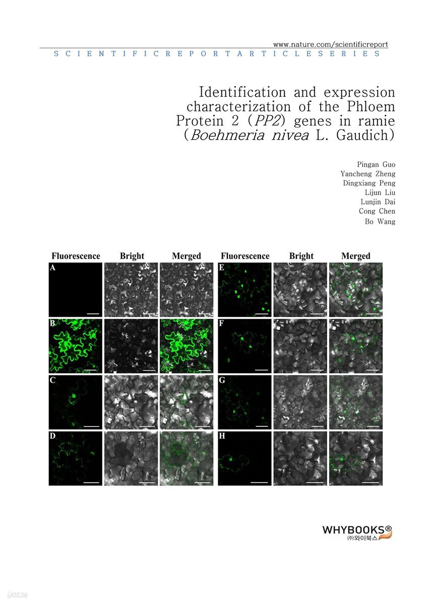 Identification and expression characterization of the Phloem Protein 2 (PP2) genes in ramie (Boehmeria nivea L. Gaudich)