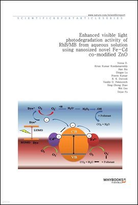 Enhanced visible light photodegradation activity of RhBMB from aqueous solution using nanosized novel Fe-Cd co-modified ZnO