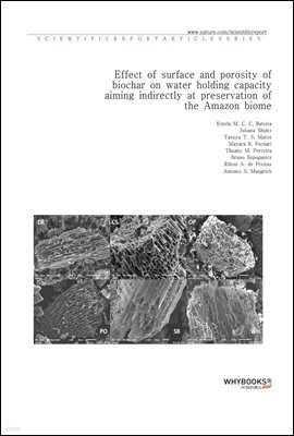 Effect of surface and porosity of biochar on water holding capacity aiming indirectly at preservation of the Amazon biome