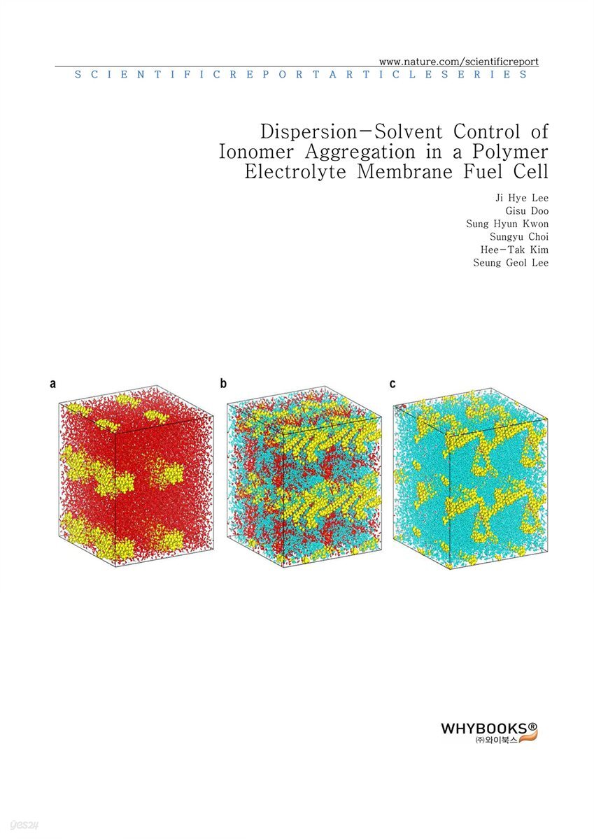 Dispersion-Solvent Control of Ionomer Aggregation in a Polymer Electrolyte Membrane Fuel Cell