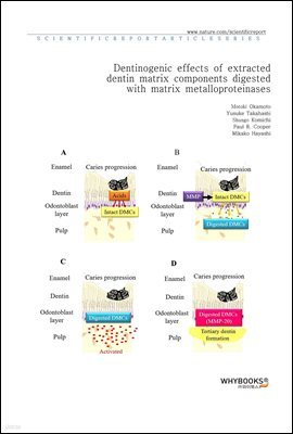 Dentinogenic effects of extracted dentin matrix components digested with matrix metalloproteinases