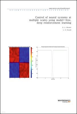 Control of neural systems at multiple scales using model-free, deep reinforcement learning