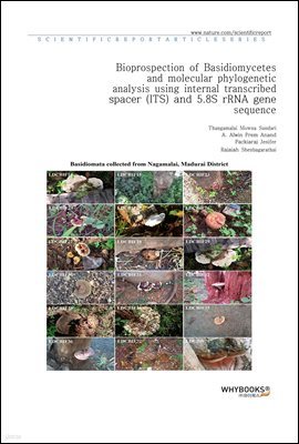 Bioprospection of Basidiomycetes and molecular phylogenetic analysis using internal transcribed spacer (ITS) and 5.8S rRNA gene sequence