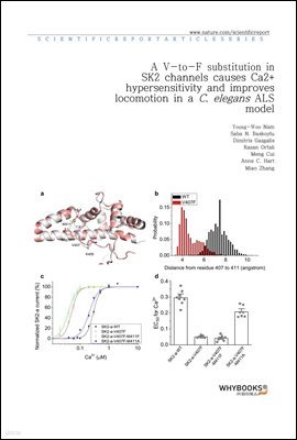 A V-to-F substitution in SK2 channels causes Ca2+ hypersensitivity and improves locomotion in a C. elegans ALS model