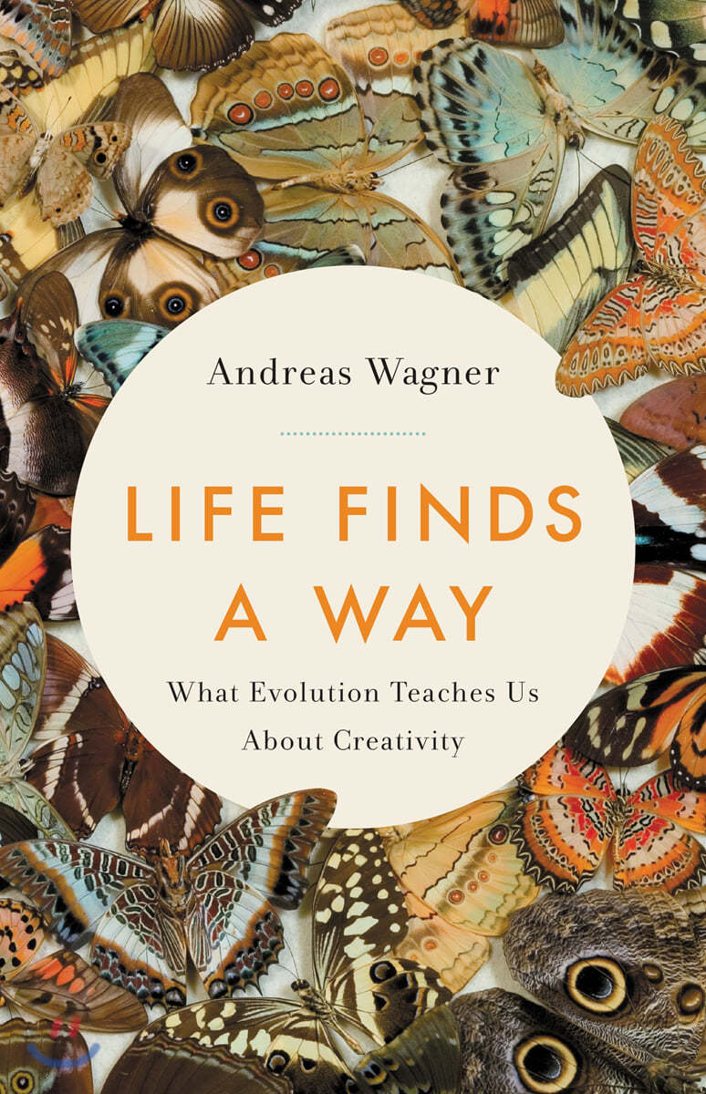 Life Finds a Way: What Evolution Teaches Us about Creativity