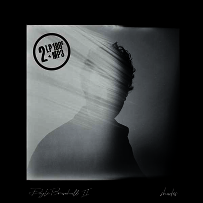 Doyle Bramhall II — Shades (Gatefold) 앨범 커버
