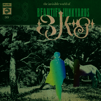 Beautify Junkyards — The Invisible World Of Beautify Junkyards 앨범 커버