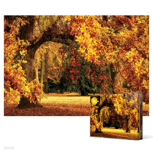 1000피스 직소퍼즐 - 오크나무의 화려한 가을 단풍 2
