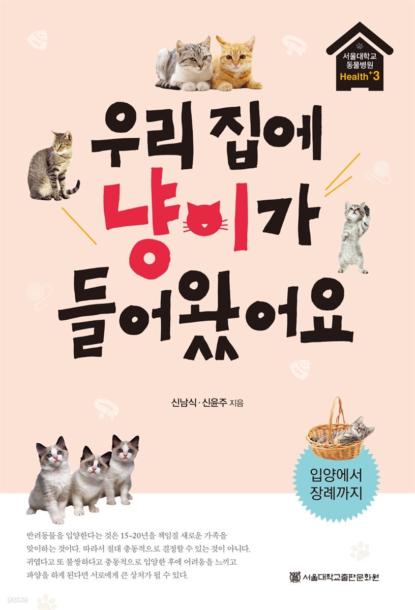 우리 집에 냥이가 들어왔어요
