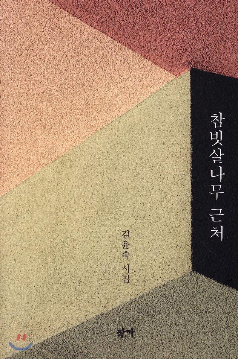 참빗살나무 근처