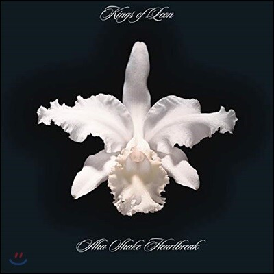 Kings Of Leon — Aha Shake Heartbreak 앨범 커버