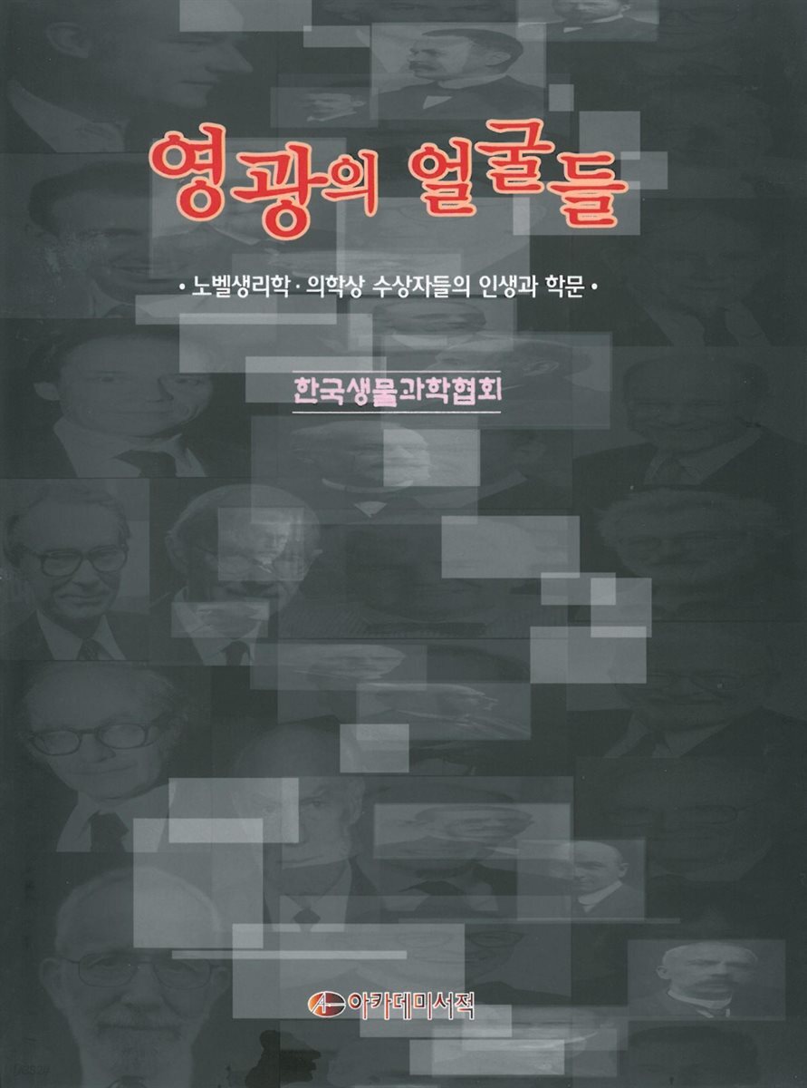 영광의 얼굴들