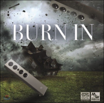 STS Digital ̺  ׿  (Burn In)