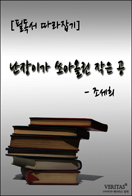 난장이가 쏘아올린 작은 공(조세희)