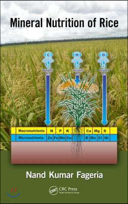 Mineral Nutrition of Rice